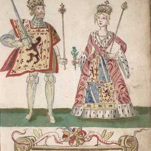 A Spider and Robert the Bruce Story