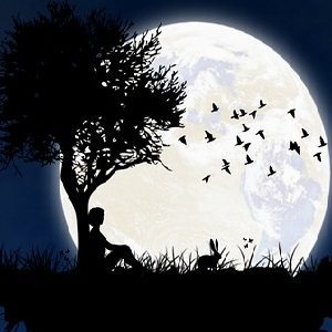 Beekeeper and the White Rabbit