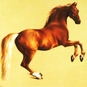 The Magic Horse Story