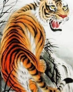 The Tiger's Whisker Story