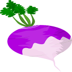 The Enormous Turnip