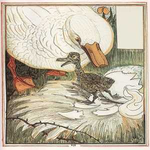 The Ugly Duckling Story