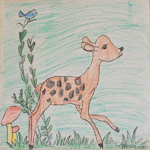 Bambi A Life in the Woods